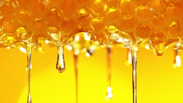 Super Slow Motion Van Druppelende Honing Uit Honingraat Gouden Achtergrond — Stockvideo