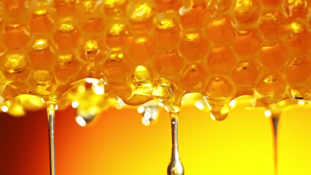 Super Slow Motion Dripping Honey Honeycomb Gold Background Filmed High — Stockvideo