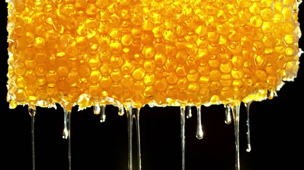 Honey Dripping Honey Comb Black Background Macfro Shot Honey Drop — Zdjęcie stockowe