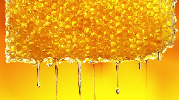 Honey Dripping Honey Comb Golden Background Macfro Shot Honey Drop — Stockfoto