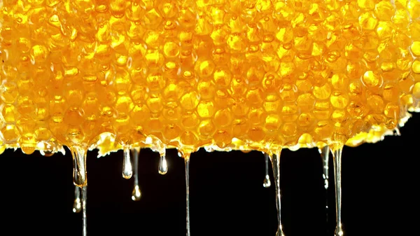 Honey Dripping Honey Comb Black Background Macfro Shot Honey Drop —  Fotos de Stock