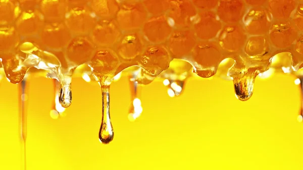 Honey dripping from honey comb on golden background. Macfro shot of honey drop dipping from the honeycomb. Healthy food concept, diet, dieting