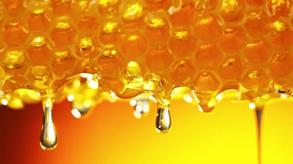 Honey dripping from honey comb on golden background. Macfro shot of honey drop dipping from the honeycomb. Healthy food concept, diet, dieting