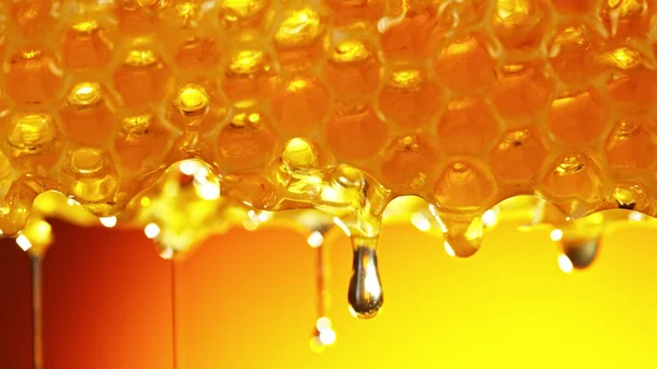 Honey dripping from honey comb on golden background. Macfro shot of honey drop dipping from the honeycomb. Healthy food concept, diet, dieting