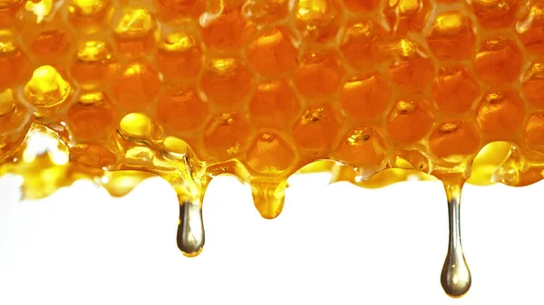 Honey Dripping Honey Comb White Background Macfro Shot Honey Drop —  Fotos de Stock