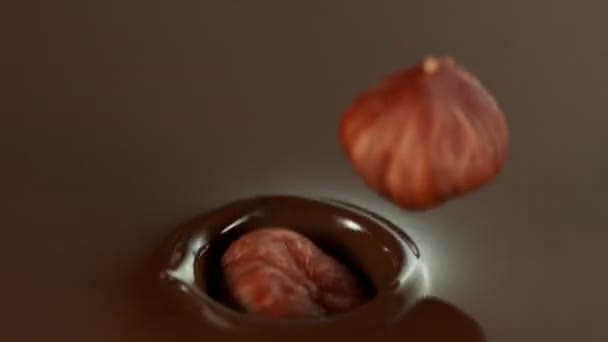 Super Slow Motion Falling Hazelnuts Melted Chocolate Filmed High Speed — ストック動画