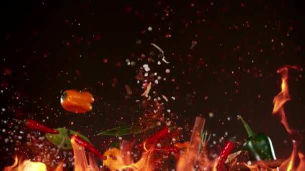 Super Slow Motion Flying Berbagai Jenis Rempah Rempah Dalam Api — Stok Video