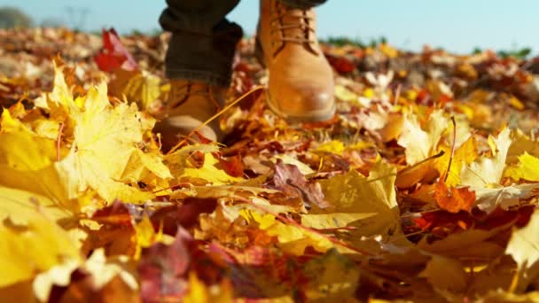 男人在秋天树叶中漫步的超级慢动作 用高速摄像机拍摄 每秒1000帧 — 图库视频影像