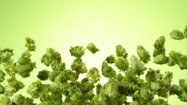 Super Slow Motion Flying Fresh Hops Cones Isolated Black Background — Stockvideo