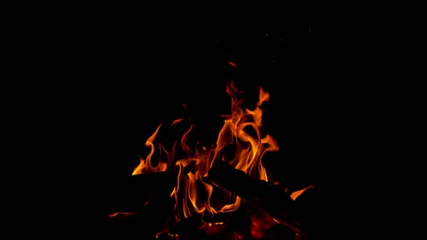 Super Slow Motion Camp Fire Isolated Black Background Filmed High — Stok video