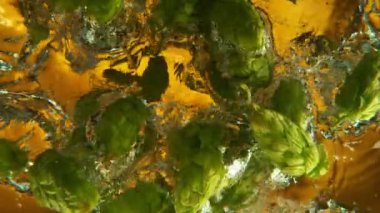 Super Slow Motion of Falling Fresh Hops Cones Into Water. Isolated on Gold Background. Ultimate Perspective, Underwater Shot. Filmed on High Speed Cinema Camera, 1000 fps.