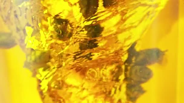 Супер Повільний Рух Обертання Свіжих Хмелю Конусів Воді Підводний Постріл — стокове відео