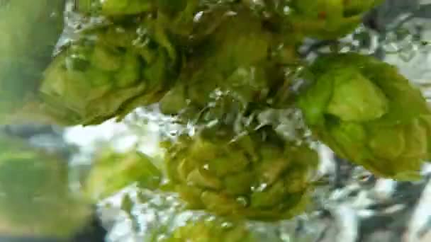 Super Slow Motion Rotating Fresh Hops Cones Water Underwater Shot — Vídeo de stock