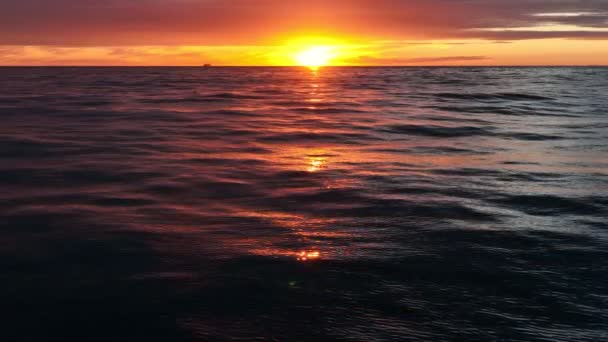 Aerial Panoramic Footage Ocean Waves Seagulls Sunset Beautiful Sunset Landscape — Stok Video