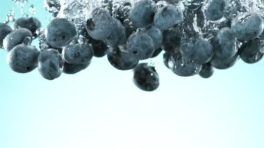 Super slow motion of falling blueberries into water on blue background. Filmed on high speed cinema camera, 1000 fps.