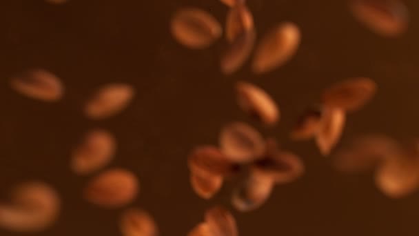 Super Slow Motion Falling Almonds Melted Chocolate Filmed High Speed — Stock videók