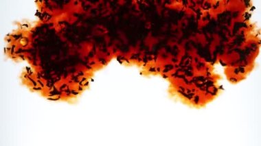 Suya siyah çay koymanın çok yavaş bir yolu. Beyaz arka planda izole edilmiş. Yüksek hızlı sinema kamerasıyla çekildi, 1000fps. Hız rampası etkisi.