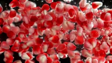 Nar parçalarının suya düşmesi çok yavaş bir hareket. Siyah arka planda izole edilmiş. Yüksek hızlı sinema kamerası, 1000Fps Hız rampası etkisi.