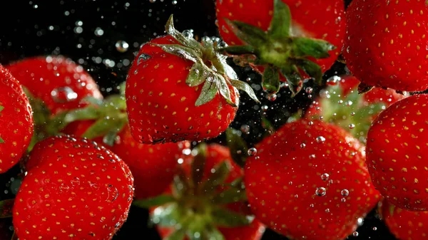 Fruta Morango Caindo Salpicando Debaixo Água Isolado Fundo Preto — Fotografia de Stock