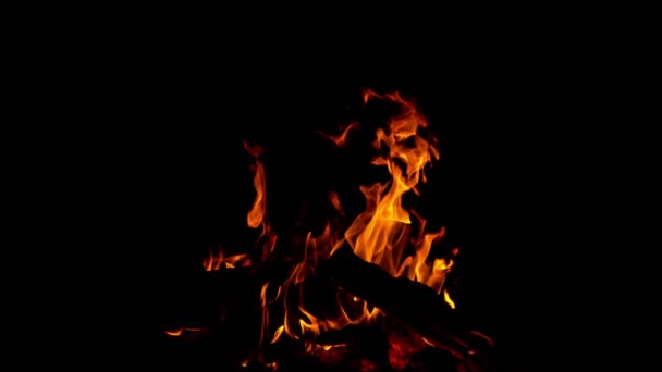 Super Slow Motion Camp Fire Isolated Black Background Filmed High — Wideo stockowe