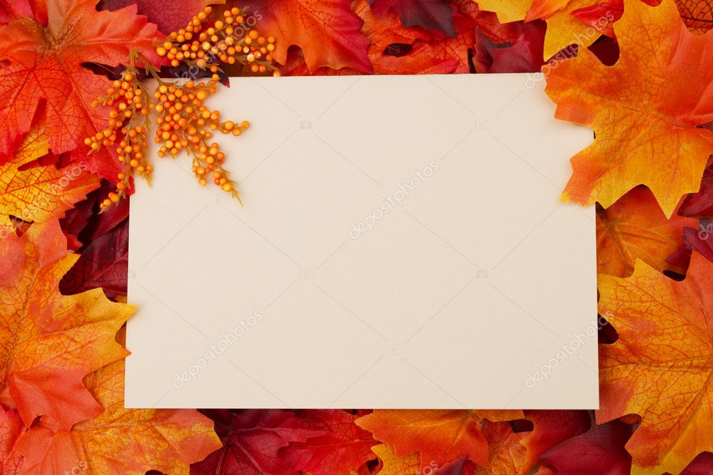 Blank Fall Invitations 10