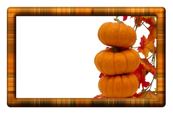 Fall Harvest Border — Stock Photo, Image