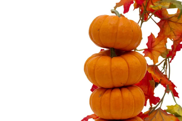 Stack of pumpkins border — Stock Photo, Image