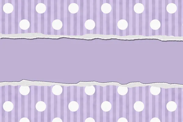 Purple Polka Dot and Striped Torn Background for your message or — Stock Photo, Image