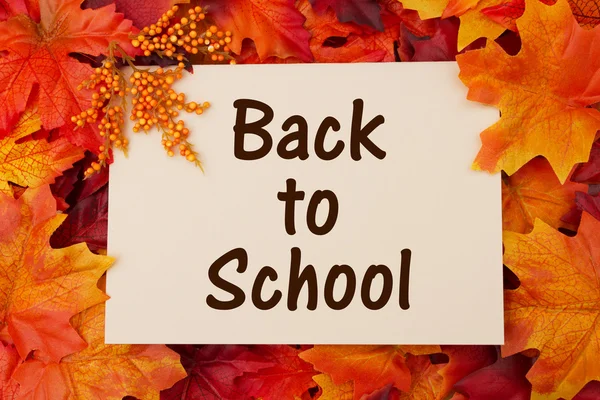 Volver a Tarjeta escolar con hojas de otoño —  Fotos de Stock