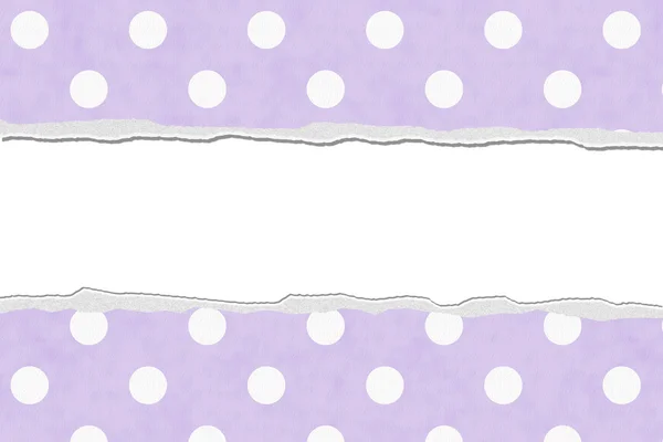 Purple Polka Dot Torn Background for your message or invitation — Stock Photo, Image