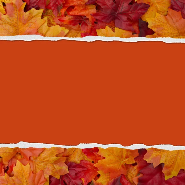Herfstbladeren gescheurde achtergrond voor uw bericht of de uitnodiging — Stockfoto