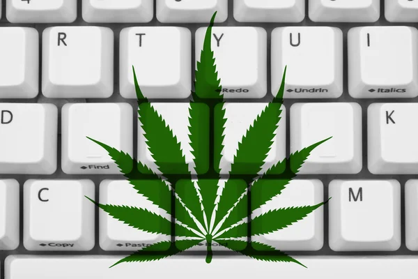 Buscando información sobre marihuana — Foto de Stock
