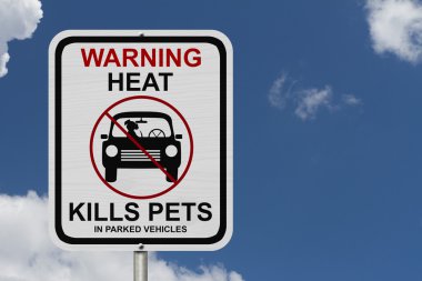 Bir köpek park etmiş arabaların içinde bırakarak tehlikeleri