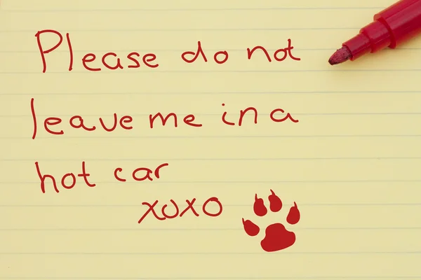 Dangers of leaving a dog in parked cars — Stock Photo, Image