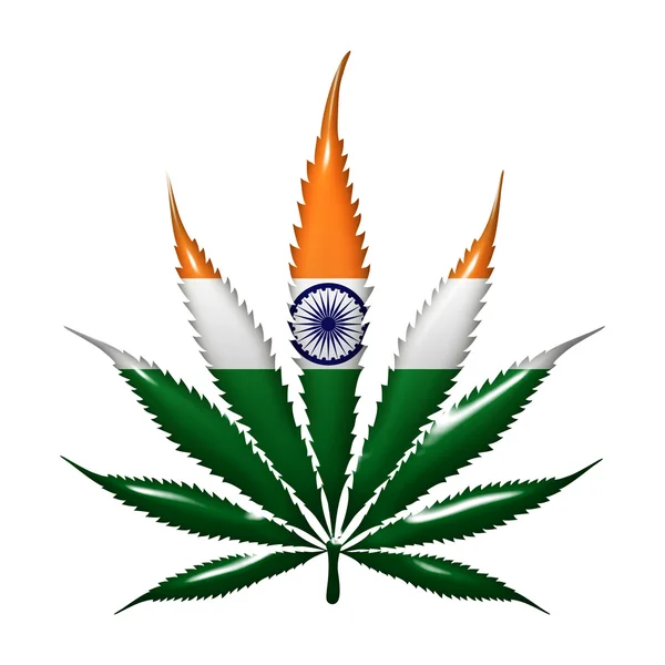 Marijuana in India — Foto Stock