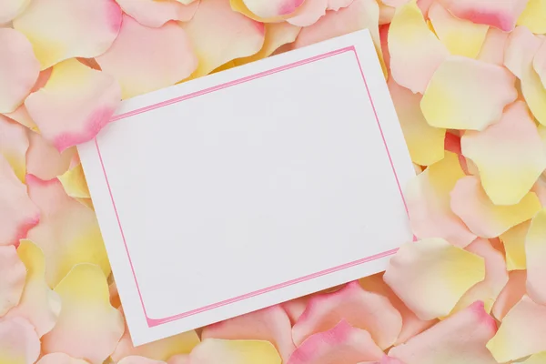 A blank card for your message — Stock Photo, Image