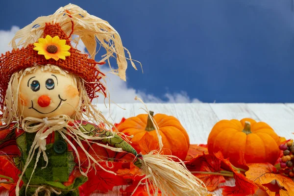 Fall Leaves Scarecrow Pumpkins Weathered Wood Sky Copy Space Fall — Stock Photo, Image