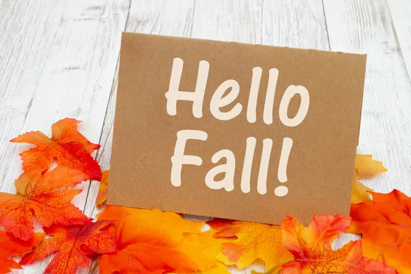 Hello Podzimní Zpráva Stojícím Přání Ošlehaném Dřevě Podzimním Listím — Stock fotografie