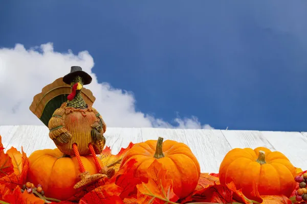 Höstlöv Kalkon Och Pumpor Vittrat Trä Med Himmel Med Kopieringsutrymme — Stockfoto