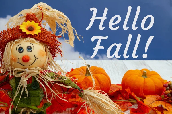 Ahoj Podzimní Pozdrav Podzimním Listím Strašákem Dýněmi Ošlehaném Dřevě Oblohou — Stock fotografie