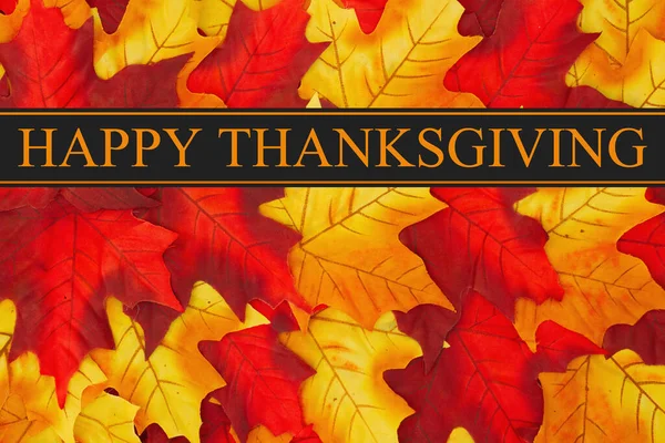 Gelukkige Thanksgiving Begroeting Met Rode Gele Herfstbladeren — Stockfoto
