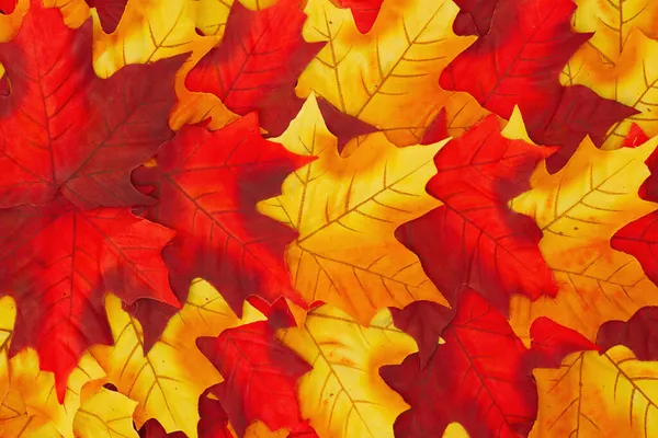 Feuilles Automne Rouges Jaunes Fond Automne Pour Votre Message Saisonnier — Photo