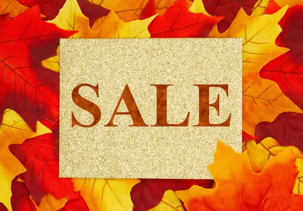 Sale Message Gold Sparking Greeting Card Red Orange Fall Leaves — Stock Photo, Image