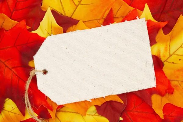 Leere Beige Geschenkanhänger Auf Rotem Und Orangefarbenem Herbstlaub Für Ihre — Stockfoto