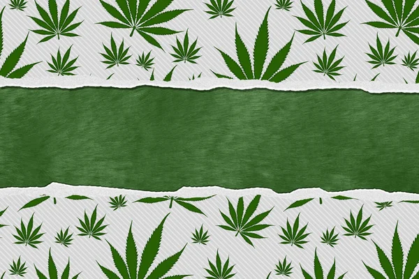 Weed Border Cannabis Green White Copy Space Your Weed Marijuana — Stock Photo, Image