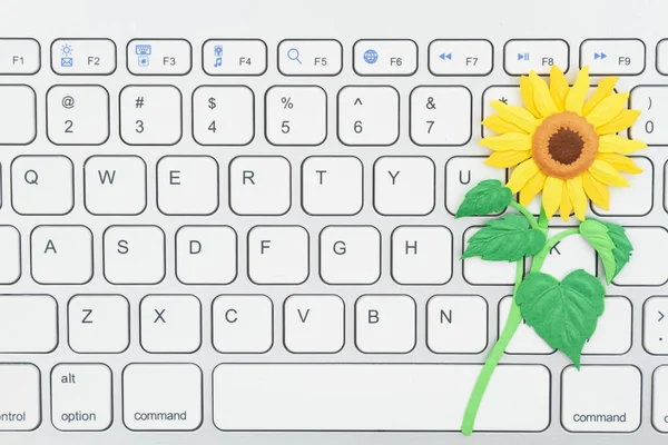 Message Achat Printanier Avec Clavier Fleur Marguerite Jaune — Photo