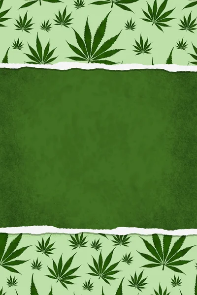 杂草撕破边境大麻绿色与复制空间为您的杂草或大麻讯息 — 图库照片