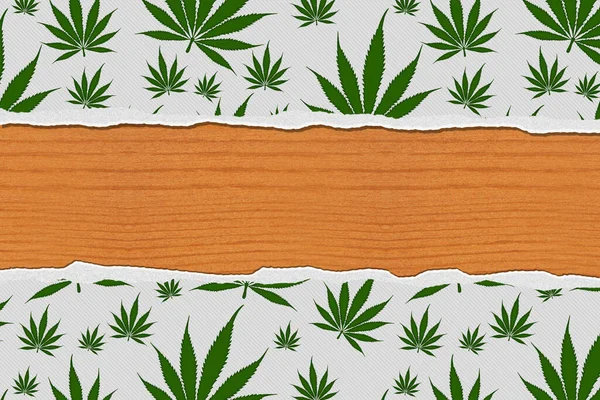 Erva Daninha Borda Cannabis Verde Branco Com Espaço Cópia Para — Fotografia de Stock