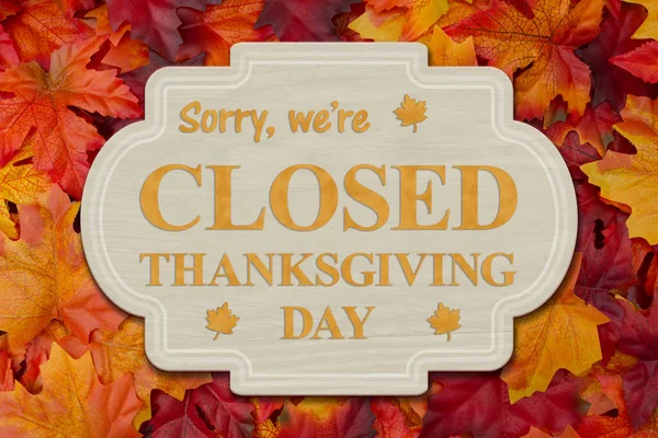Thanksgiving dinner free art overhead free
