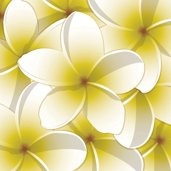 Coloured frangipani background in vector format — Stock Vector